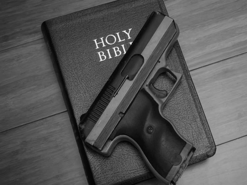 Demand an end to the "pandemic of arms"